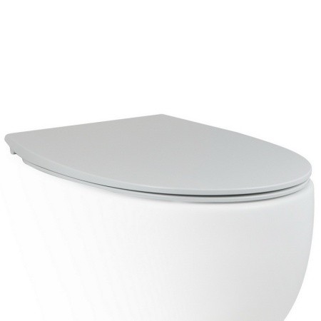 Крышка-сиденье для унитаза c микролифтом SoftClose AeT Dot 2.0 C555R101 цвет: Белый