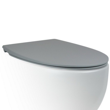 Крышка-сиденье для унитаза c микролифтом SoftClose AeT Dot 2.0 C555R116 цвет: Серый