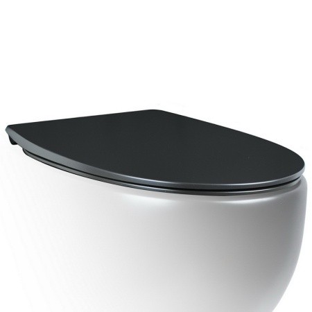 Крышка-сиденье для унитаза c микролифтом SoftClose AeT Dot 2.0 C555R105 цвет: Черный